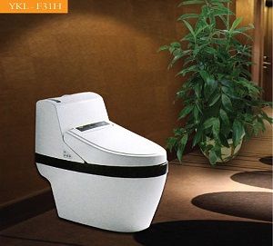 Bệt Toilet Govern YKL-F31H