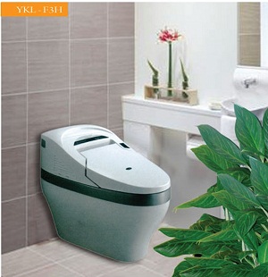 Bệt Toilet Govern YKL-F3H